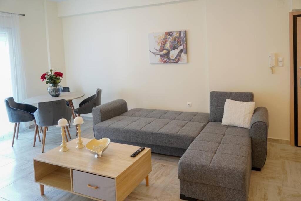 Modern Apartment In The City Center 이오아니아 외부 사진